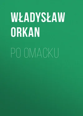 Władysław Orkan Po omacku обложка книги