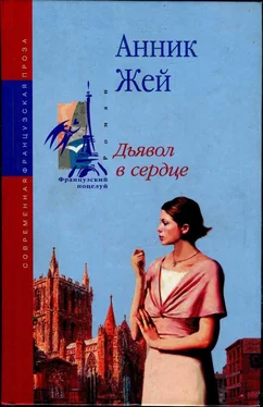 Анник Жей Дьявол в сердце обложка книги