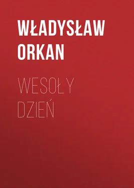 Władysław Orkan Wesoły dzień обложка книги