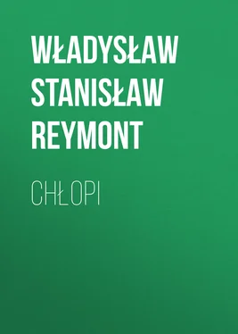 Władysław Stanisław Reymont Chłopi обложка книги