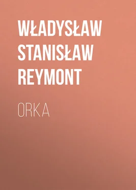 Władysław Stanisław Reymont Orka обложка книги