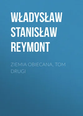 Władysław Stanisław Reymont Ziemia obiecana, tom drugi обложка книги