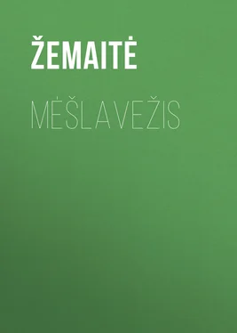 Žemaitė Mėšlavežis обложка книги