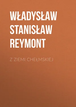 Władysław Stanisław Reymont Z ziemi chełmskiej обложка книги