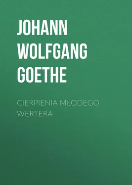 Johann Wolfgang Goethe Cierpienia młodego Wertera обложка книги