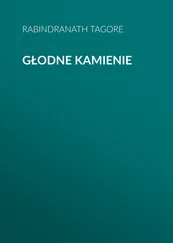 Rabindranath Tagore - Głodne kamienie