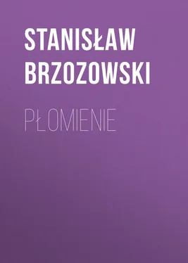 Stanisław Brzozowski Płomienie обложка книги