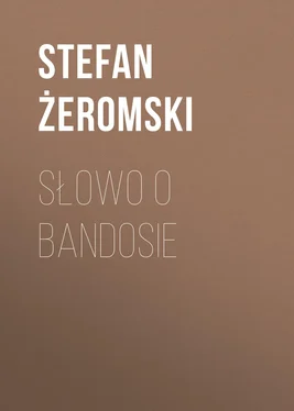 Stefan Żeromski Słowo o bandosie обложка книги