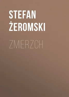 Stefan Żeromski Zmierzch обложка книги