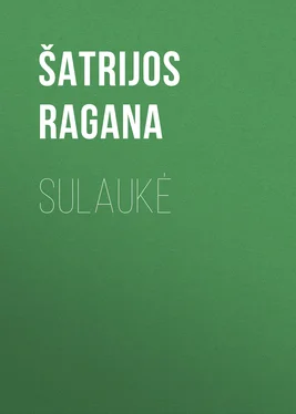 Šatrijos Ragana Sulaukė обложка книги