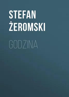 Stefan Żeromski Godzina обложка книги