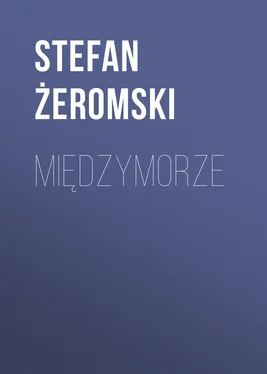 Stefan Żeromski Międzymorze обложка книги