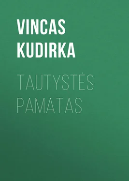 Vincas Kudirka Tautystės pamatas обложка книги