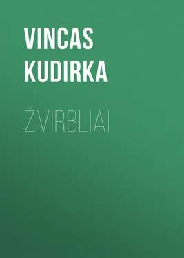 Vincas Kudirka Žvirbliai обложка книги