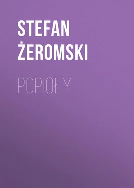 Stefan Żeromski Popioły обложка книги