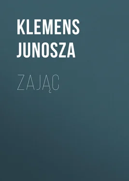 Klemens Junosza Zając обложка книги