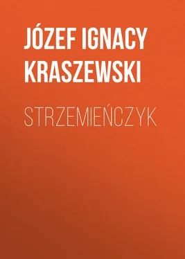Józef Kraszewski Strzemieńczyk обложка книги