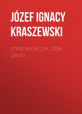 Józef Kraszewski Strzemieńczyk, tom drugi обложка книги