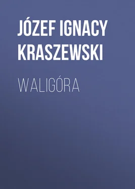 Józef Kraszewski Waligóra обложка книги