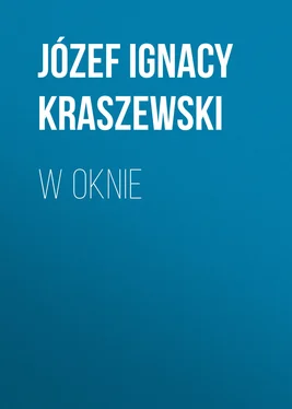 Józef Kraszewski W oknie обложка книги
