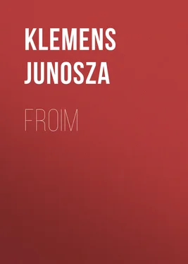 Klemens Junosza Froim обложка книги