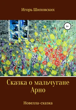 Игорь Шиповских Сказка о мальчугане Арно обложка книги