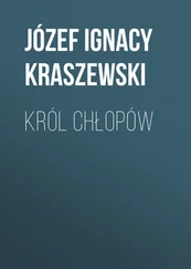 Józef Kraszewski - Król chłopów