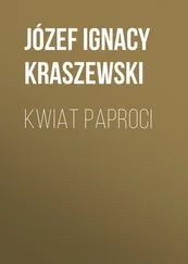 Józef Kraszewski - Kwiat paproci