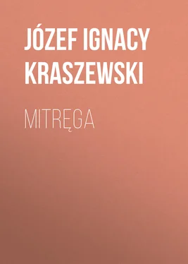 Józef Kraszewski Mitręga обложка книги