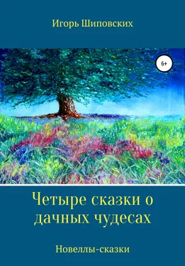 Игорь Шиповских Четыре сказки о дачных чудесах обложка книги