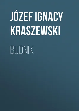 Józef Kraszewski Budnik обложка книги