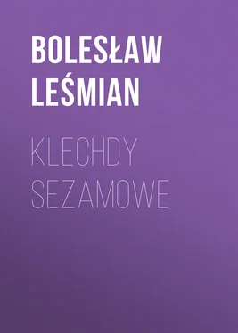 Bolesław Leśmian Klechdy sezamowe обложка книги