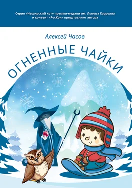 Алексей Часов Огненные чайки обложка книги