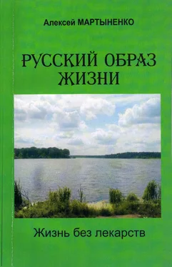 Алексей Мартыненко Русский образ жизни. Жизнь без лекарств обложка книги