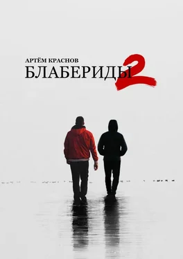 Артем Краснов Блабериды-2 обложка книги