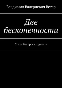 Владислав Ветер Две бесконечности. Стихи без срока годности обложка книги