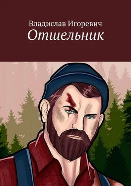 Владислав Игоревич Отшельник обложка книги