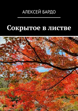 Алексей Бардо Сокрытое в листве обложка книги