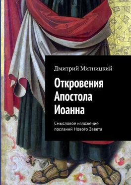 Дмитрий Митницкий Откровения Апостола Иоанна. Смысловое изложение посланий Нового Завета обложка книги