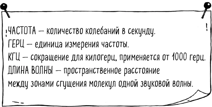 Лабиринт фантастические витки Внутреннее ухо один из самых сложных и в то - фото 8