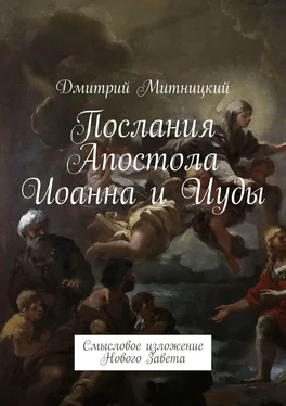 Дмитрий Митницкий Послания Апостола Иоанна и Иуды. Смысловое изложение Нового Завета обложка книги