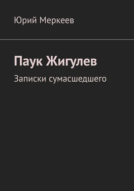 Юрий Меркеев Паук Жигулев. Записки сумасшедшего обложка книги