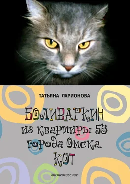 Татьяна Ларионова Боливаркин из квартиры 53 города Омска. Кот. Жизнеописание обложка книги