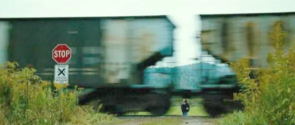 Unstoppable Tony Scott 2010 The Girl Next Door Luke Greenfield 2004 - фото 19