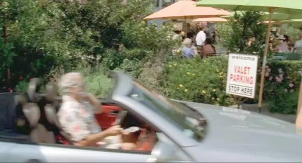 Dr Dolittle Betty Thomas 1999 Comedy Family Fantasy 66 valetvælɪt - фото 7