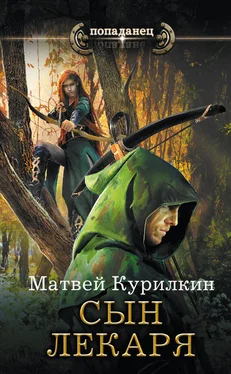 Матвей Курилкин Сын лекаря обложка книги