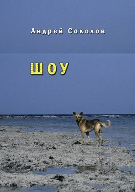 Андрей Соколов Шоу обложка книги