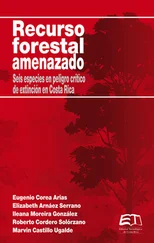 Roberto Cordero - Recurso forestal amenazado