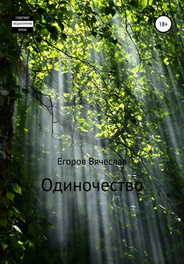 Вячеслав Егоров Одиночество обложка книги