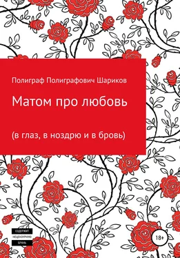 Ильдар Мухамеджанов Матом про любовь (в глаз, в ноздрю и в бровь) обложка книги